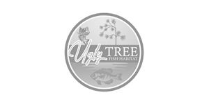 Ugly Tree Fish Habitat