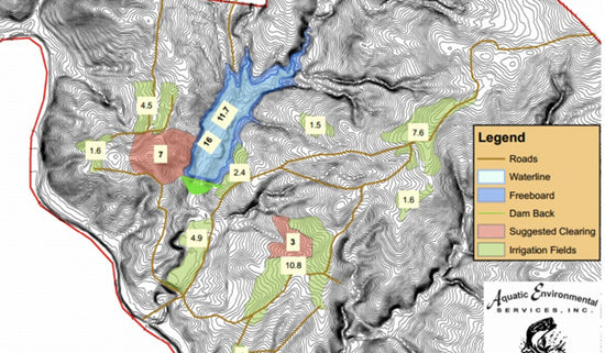 Medium to large sized bluegill