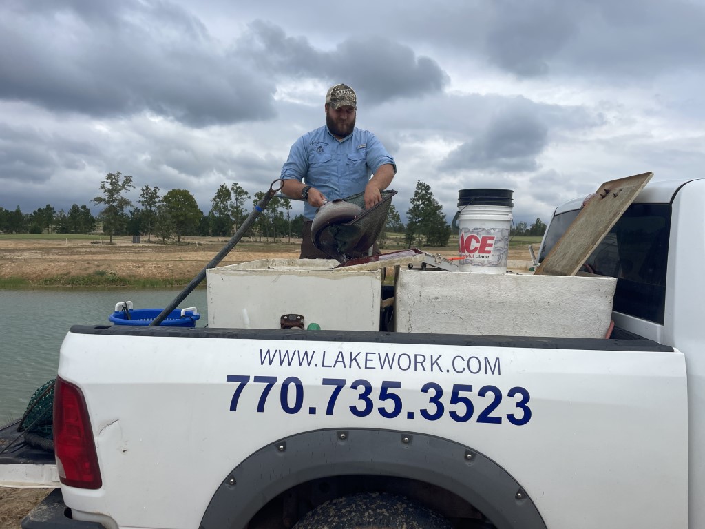 Medium shot of tagging fish in truck bed
