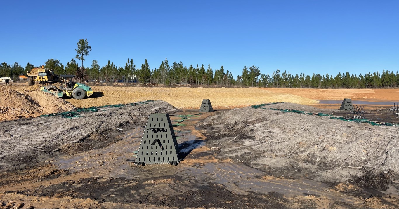 Early stages of fish habitats in lake bed