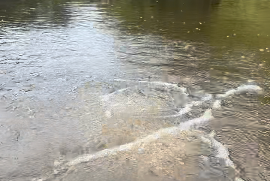 Diffused lake surface