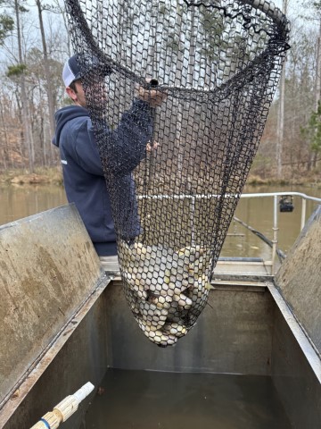 AES worker holding net of fish