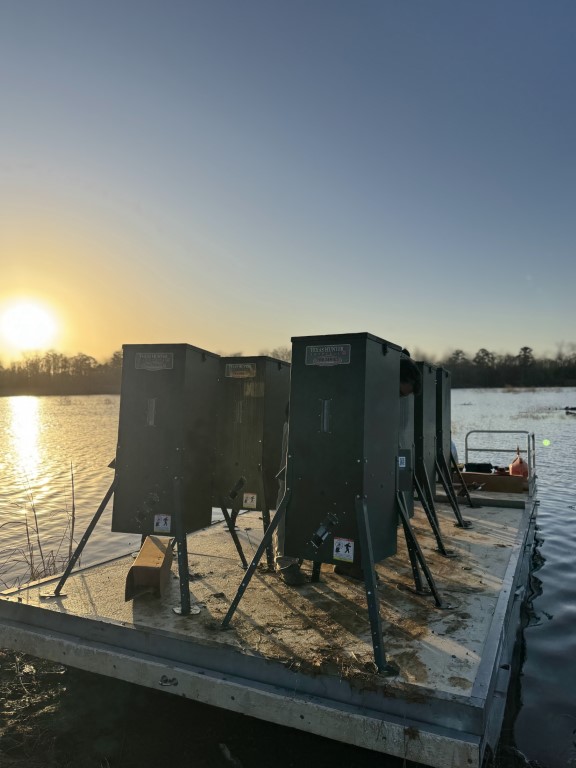 Fish feeders on a barge