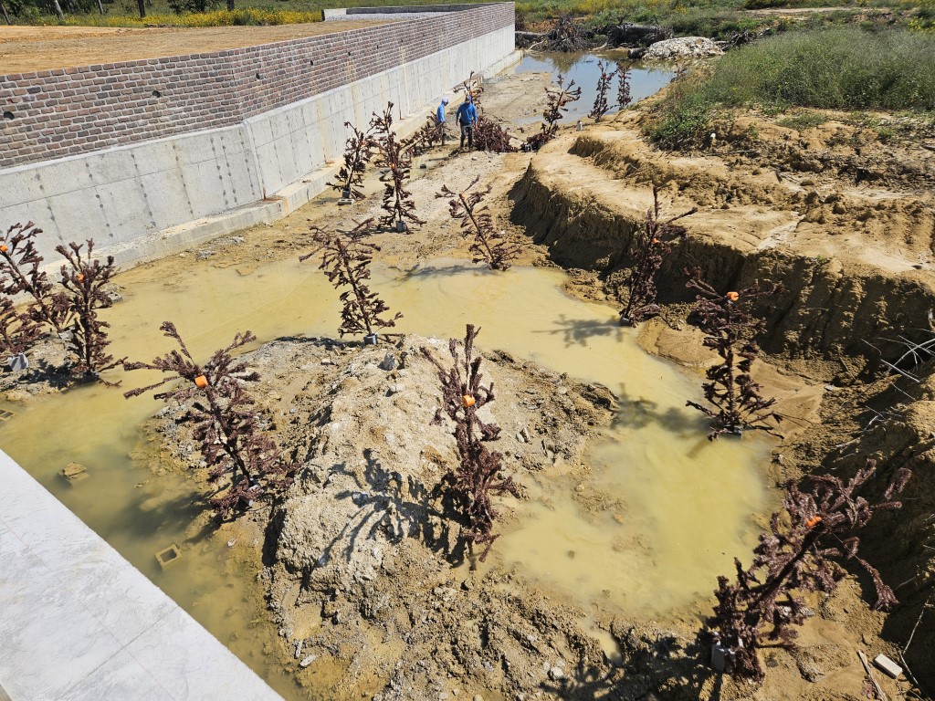 Habitat construction project