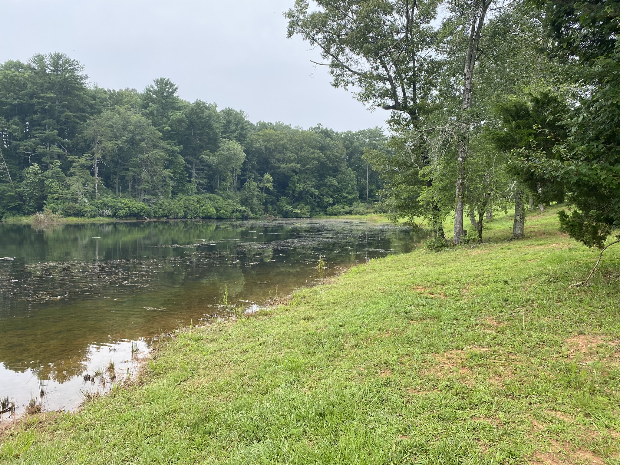 After Watershield dam after